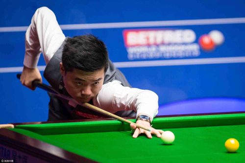 供全方位的 供全方位的