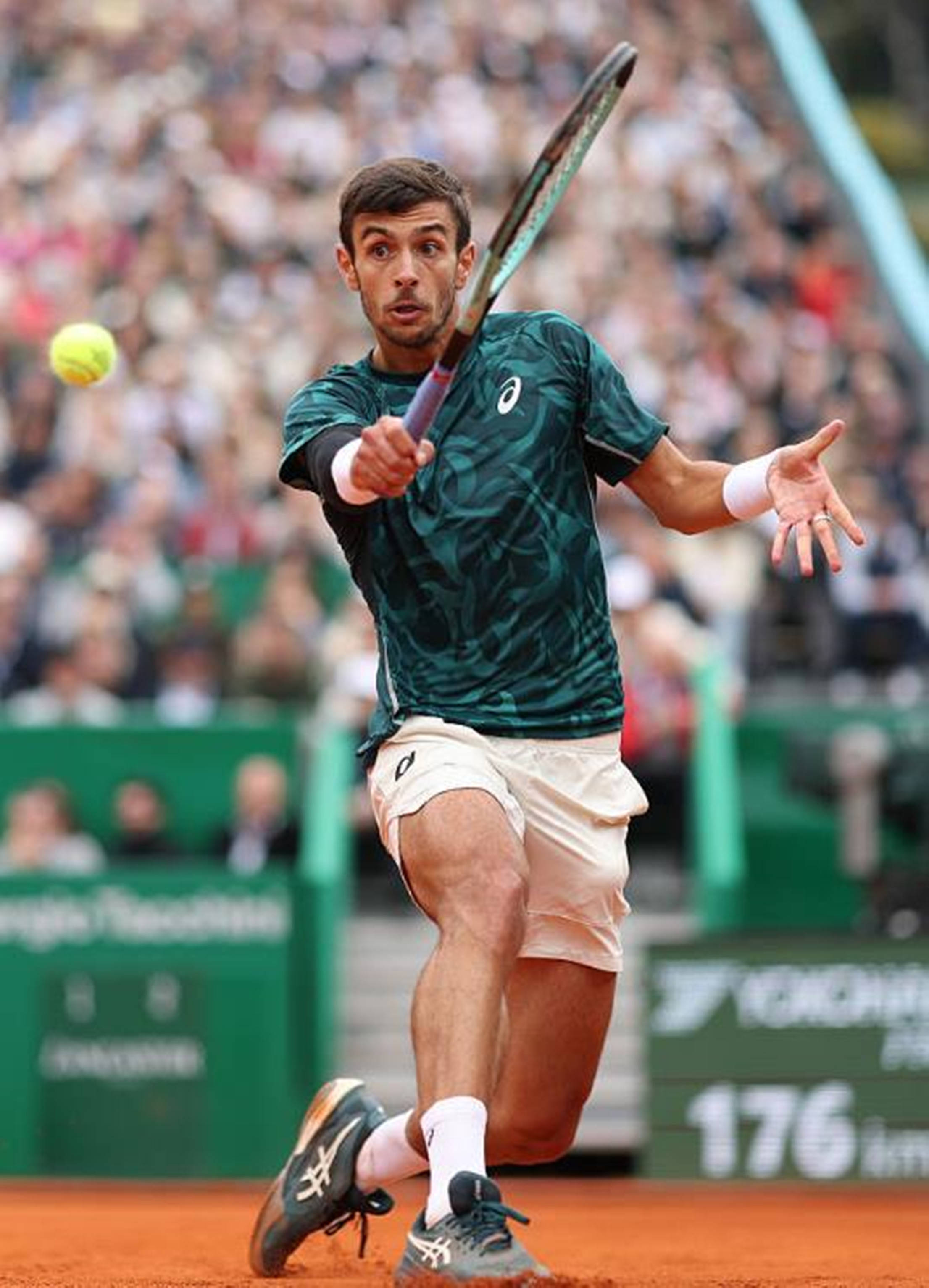 整个赛季中 整个赛季中